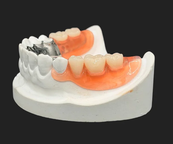 Partial and dentures valplast combo img1