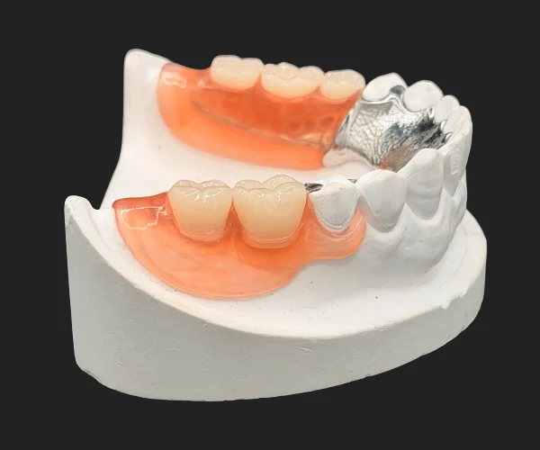 Partial and dentures valplast combo img2